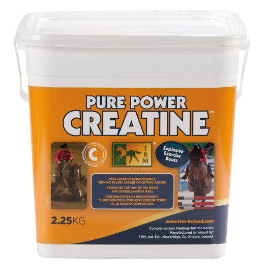 pure power creatine shaklan veterinary materials llc